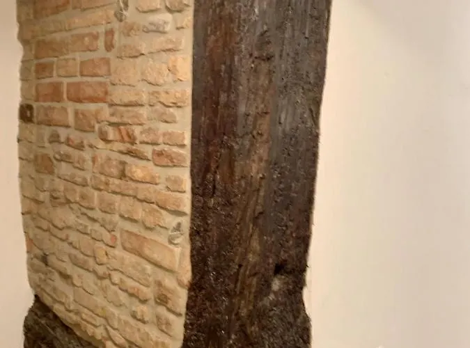 Storico Ombelico Di *